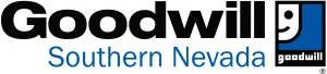 Goodwill of SNV